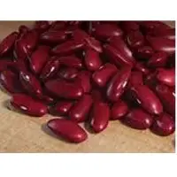 Red Kidney Beans Clean And Hand Pick Grade A